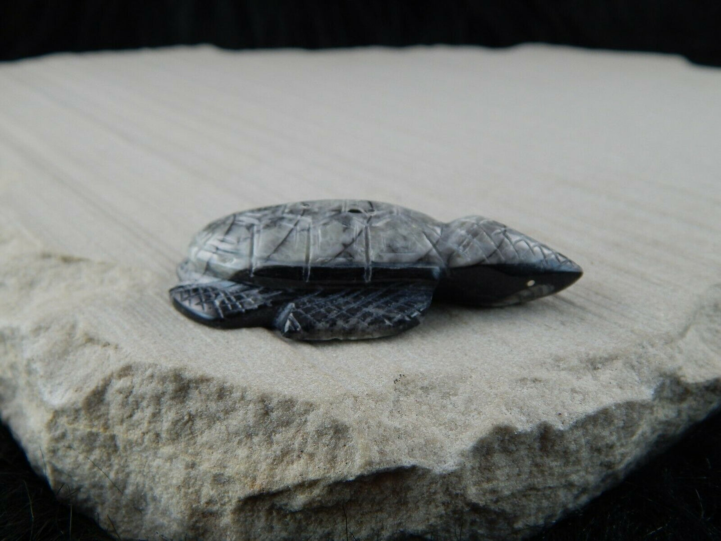 Turtle Zuni Fetish Carving - Kenny Cheama - High Lonesome Trading