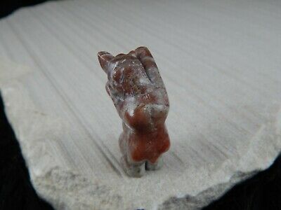 Bear Zuni Fetish Carving - Leo Pincion - High Lonesome Trading