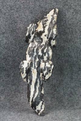 Skunk Zuni Fetish Carving - Tony Mackel