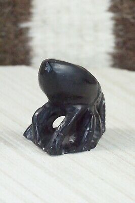 Beetle Zuni Fetish Carving - Derrick Kaamasee