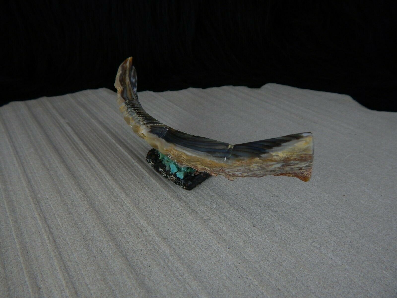 Fish Zuni Fetish Carving - Bernard Laiwakete - High Lonesome Trading