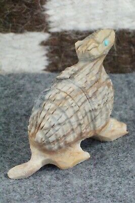 Armadillo Zuni Fetish Carving - Waylon Cheama