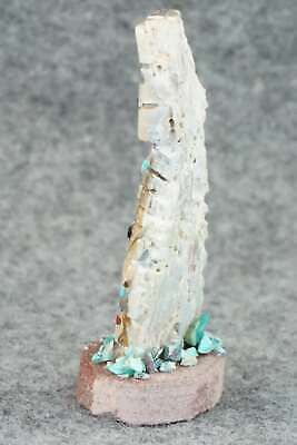 Corn Maiden Zuni Fetish Carving - Carl Etsate