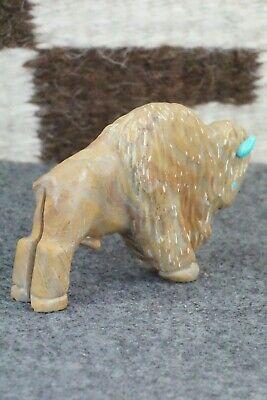 Buffalo Zuni Fetish Carving - Andres Quandelacy - High Lonesome Trading