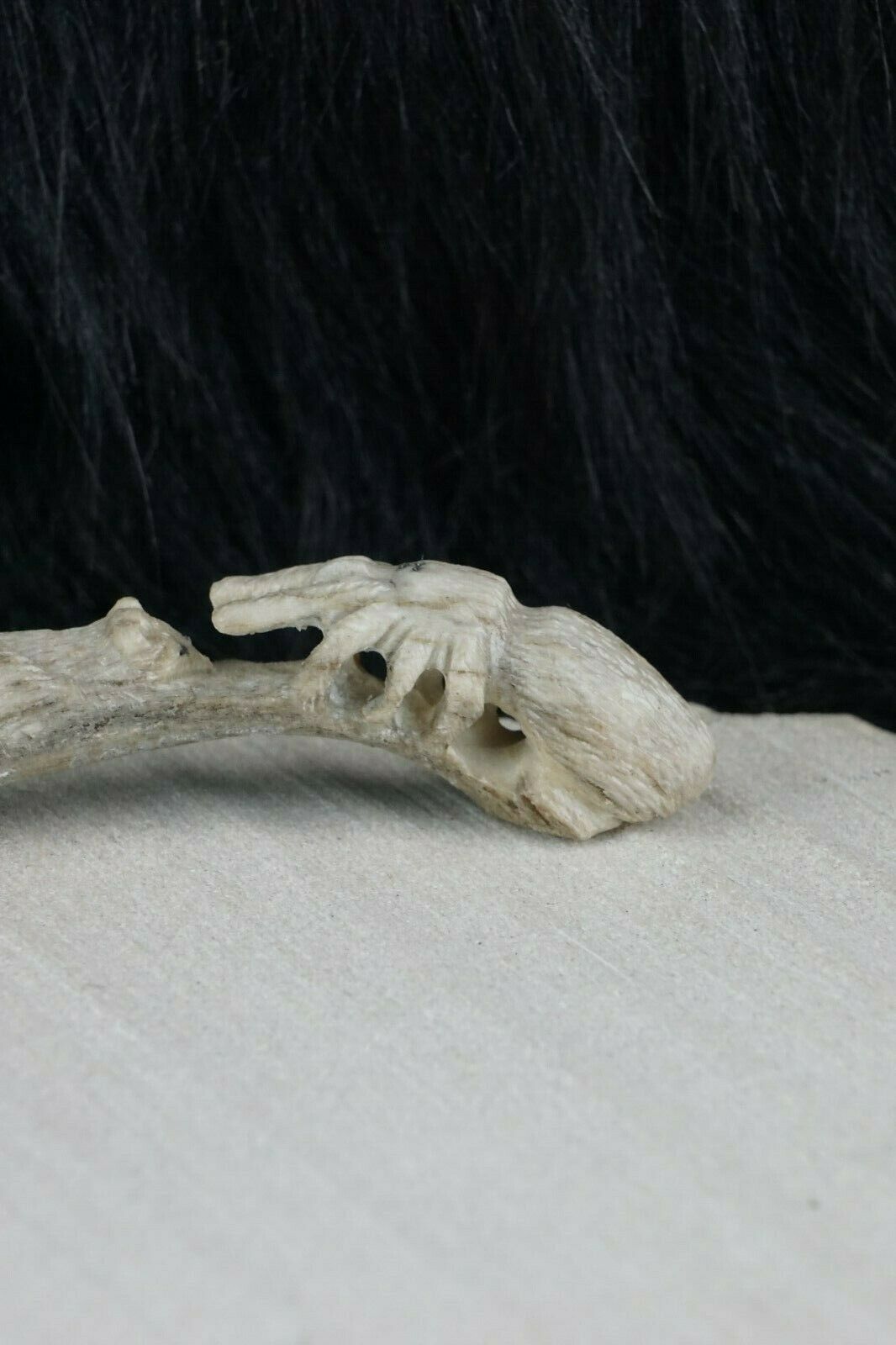 Mountain Lion & Spider Zuni Fetish Carving - Glenn Laate - High Lonesome Trading
