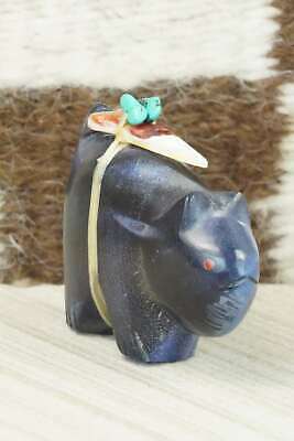 Bear Zuni Fetish Carving - Daphne Quam