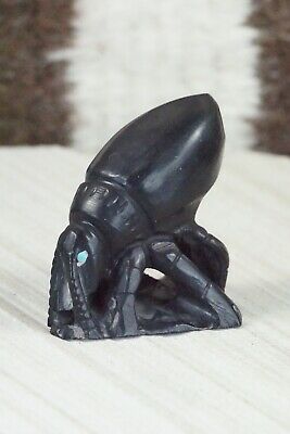 Beetle Zuni Fetish Carving - Derrick Kaamasee