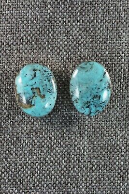 Navajo Turquoise & Sterling Silver Earrings - Ervin Tsosie