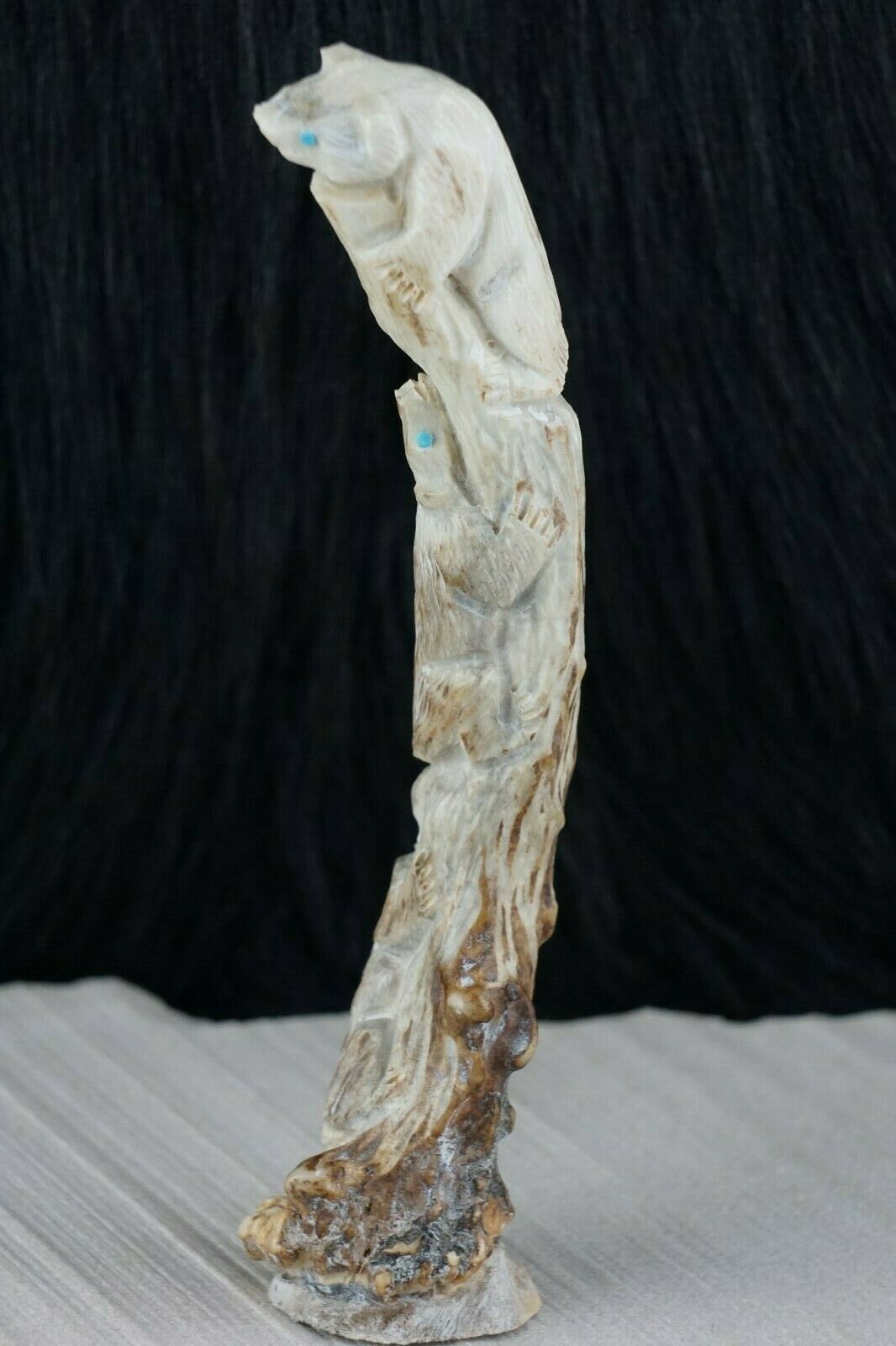 Bear Zuni Fetish Carving - Derrick Kaamasee - High Lonesome Trading
