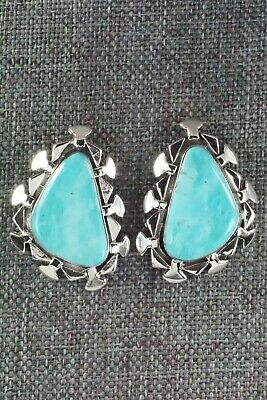 Turquoise and Sterling Silver Earrings - Sharon McCarthy