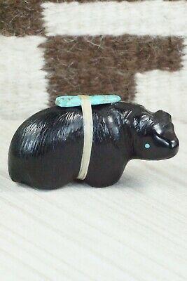 Bear Zuni Fetish Carving - Herbert Halate - High Lonesome Trading