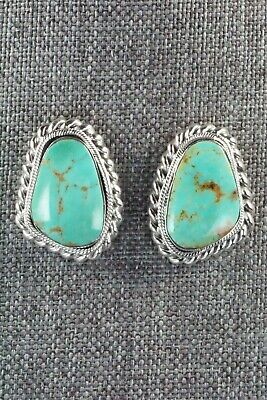 Turquoise and Sterling Silver Earrings - Sharon McCarthy