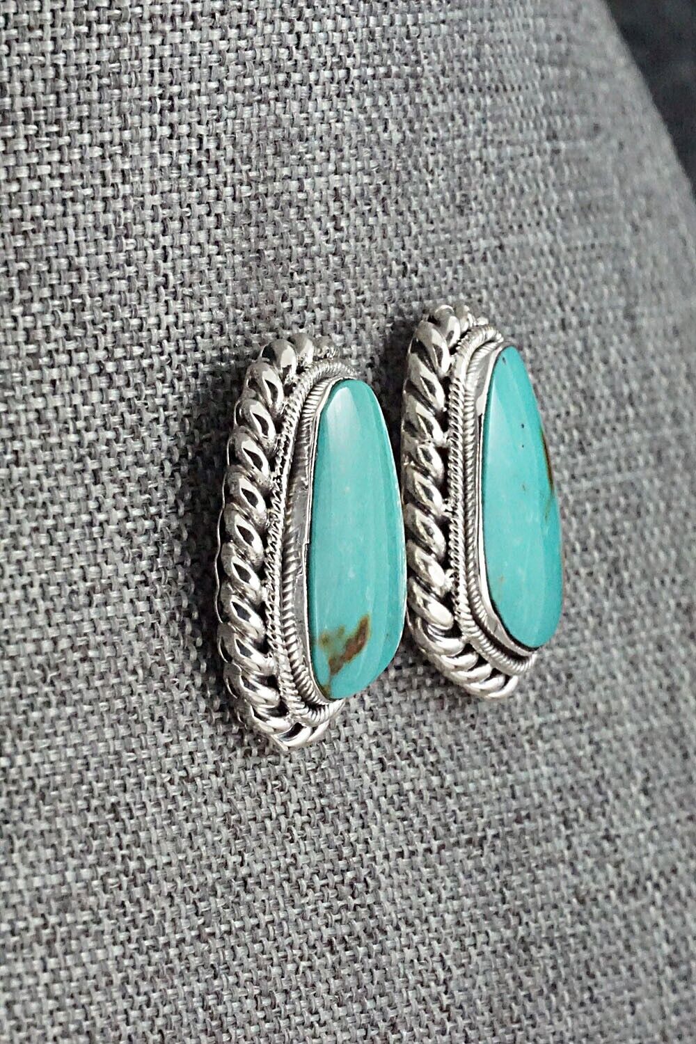 Turquoise and Sterling Silver Earrings - Sharon McCarthy