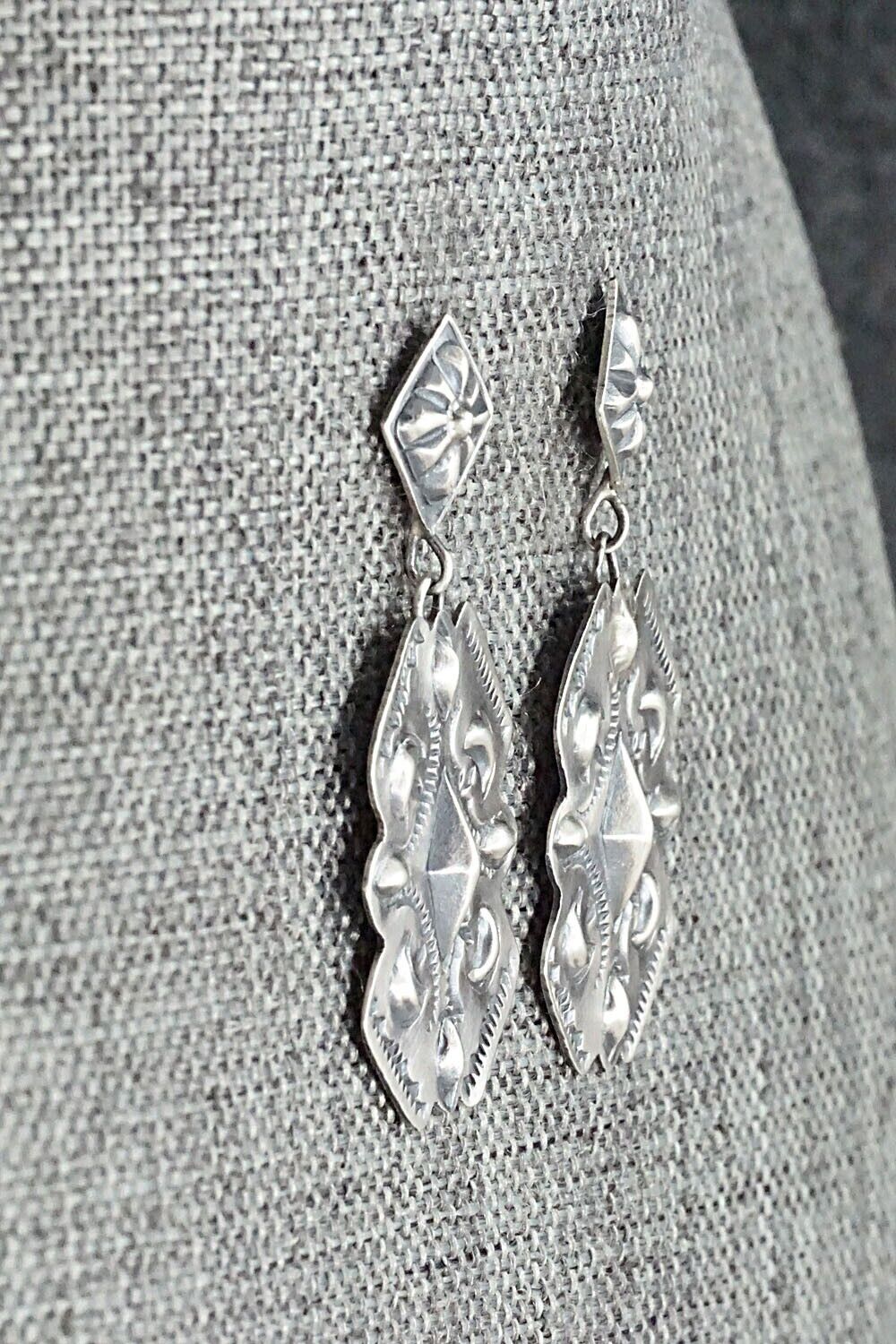 Sterling Silver Earrings - Terry Charlie