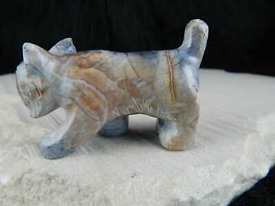 Bobcat Zuni Fetish Carving - Cody Nastacio - High Lonesome Trading