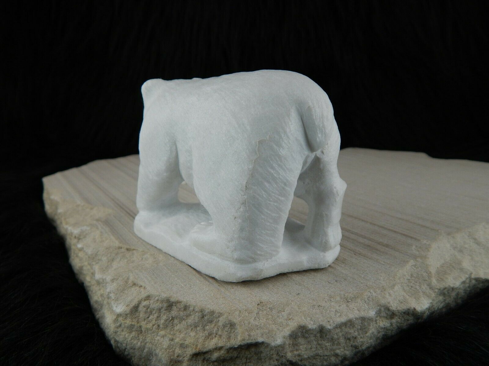Polar Bear Zuni Fetish Carving - Derrick Kaamasee - High Lonesome Trading