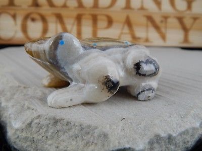 Frog Zuni Fetish Carving - Nelson Yatsattie - High Lonesome Trading
