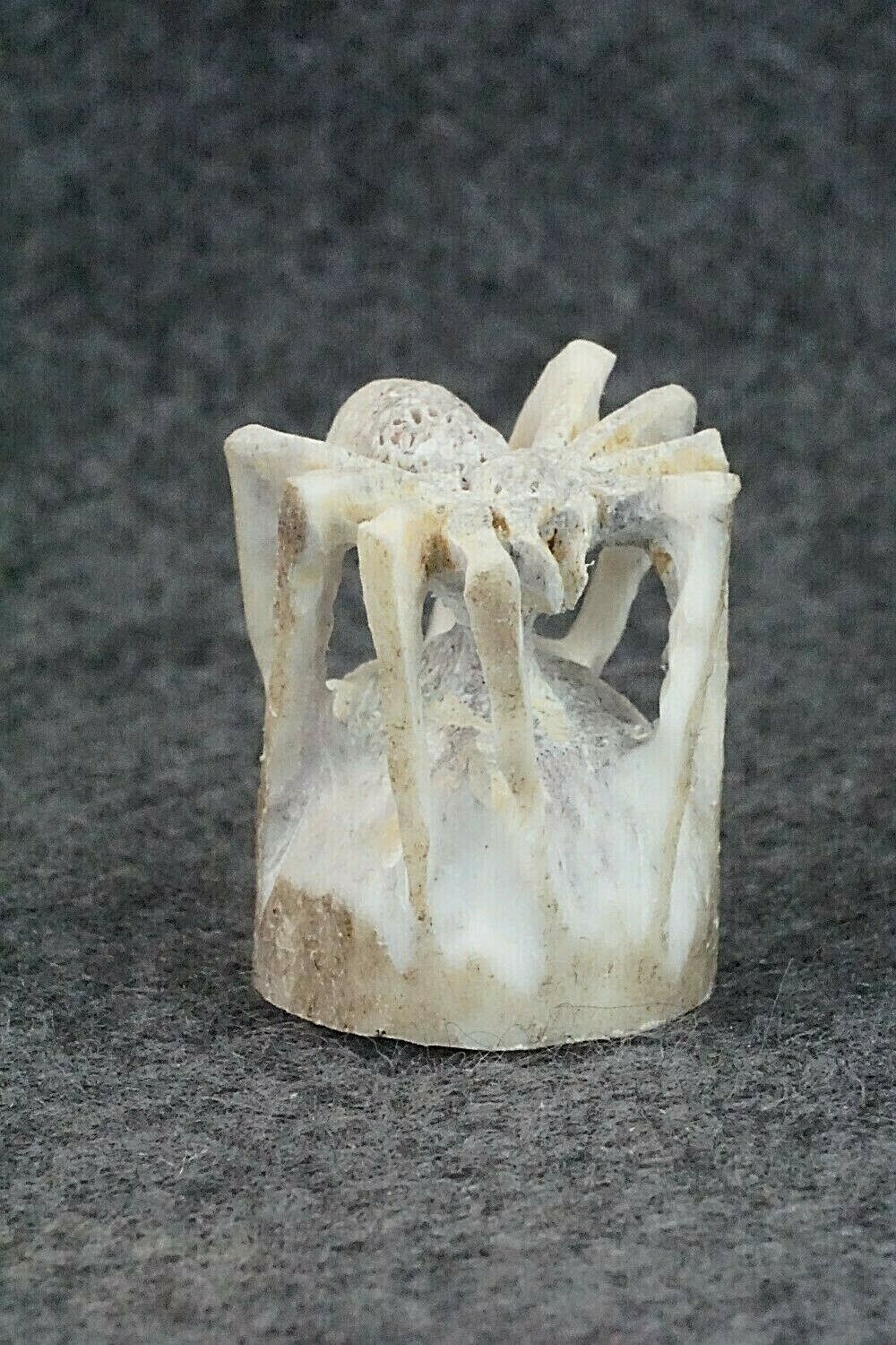 Spider Zuni Fetish Carving - Lewis Malie Jr.
