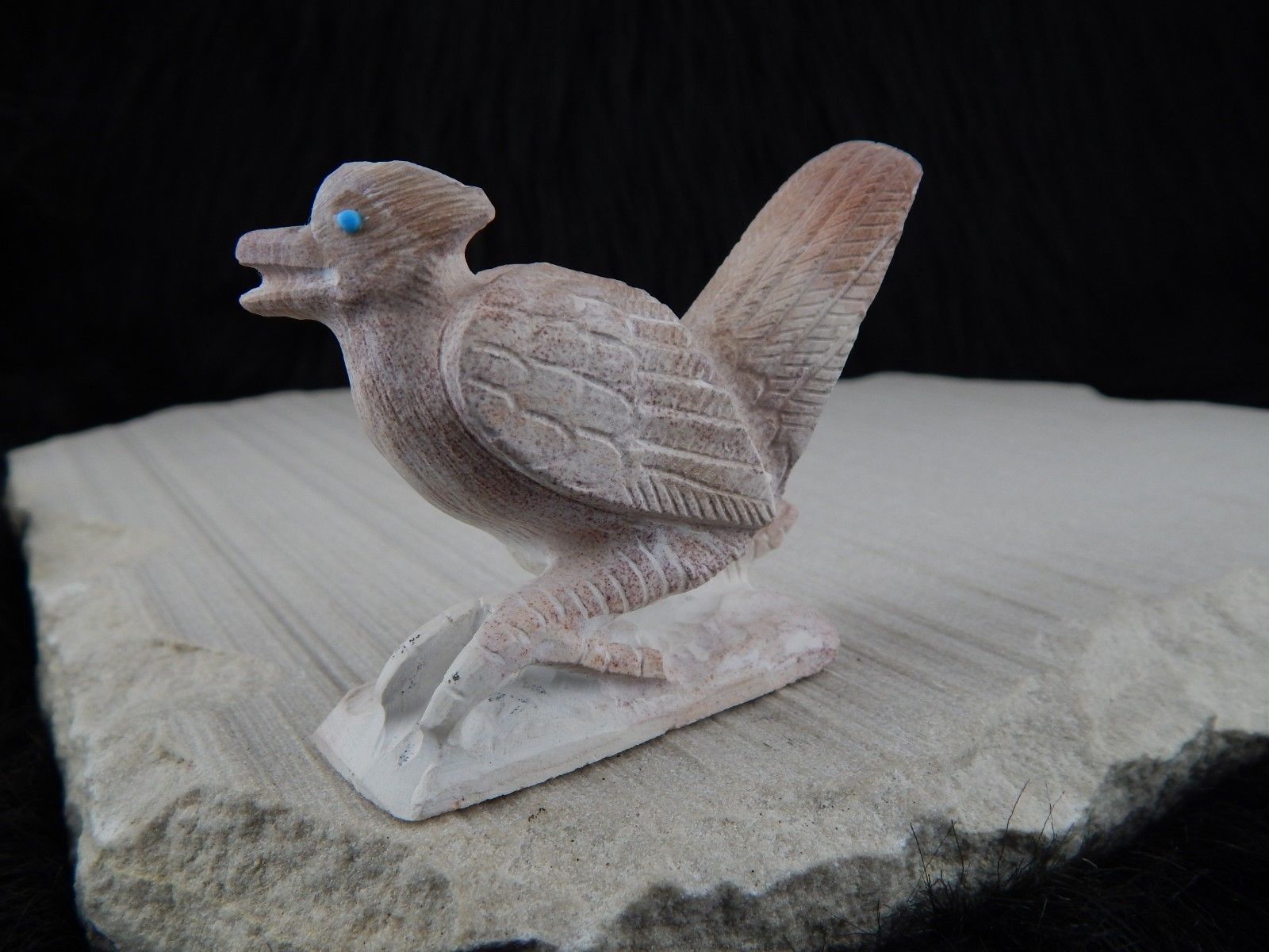 Road Runner Zuni Fetish Carving - Derrick Kaamasee - High Lonesome Trading