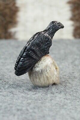 Crow Zuni Fetish Carving - Esteban Najera