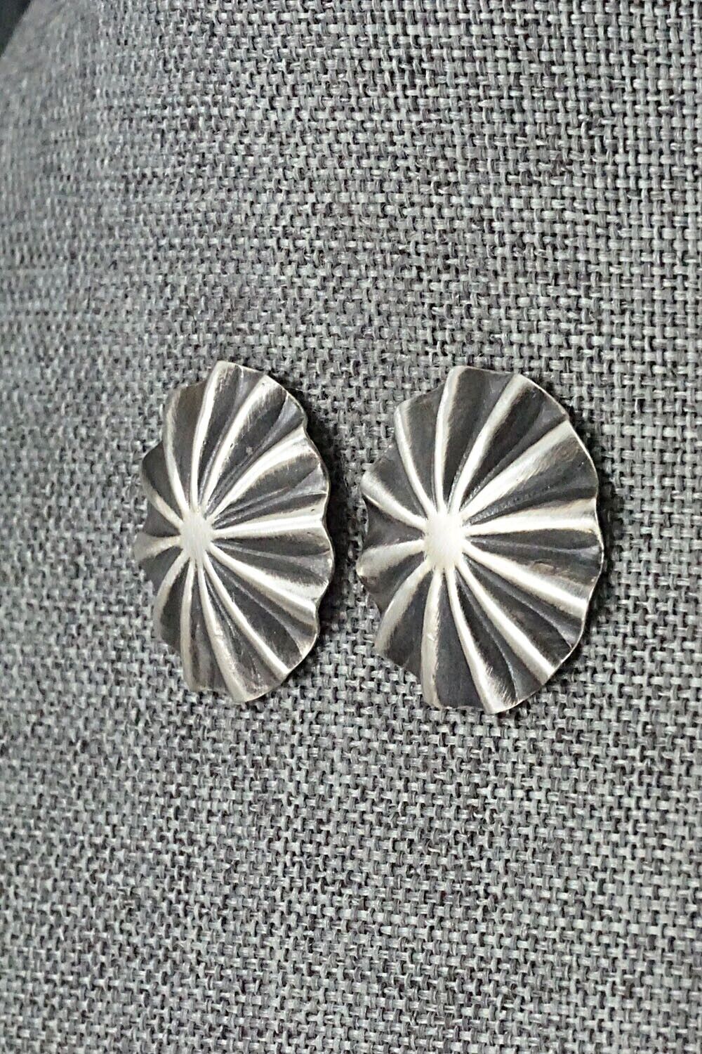 Sterling Silver Earrings - Arlene Soce