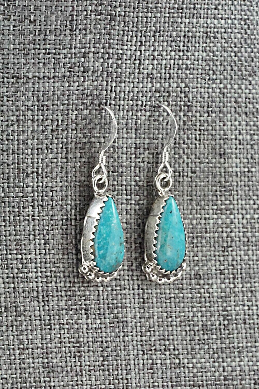 Turquoise & Sterling Silver Earrings - Emery Spencer