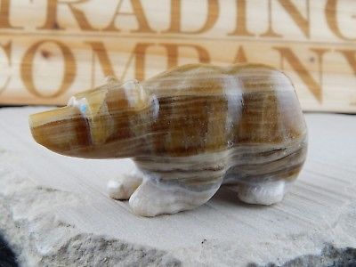 Bear Zuni Fetish Carving - Nelson Yatsattie - High Lonesome Trading