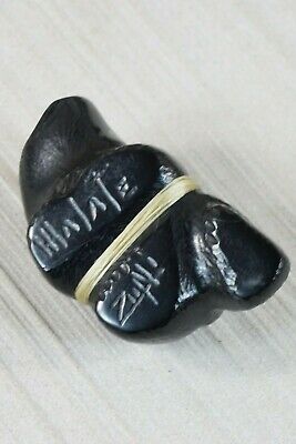 Bear Zuni Fetish Carving - Herbert Halate - High Lonesome Trading