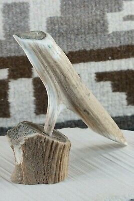 Bird Zuni Fetish Carving - Harvey Harker - High Lonesome Trading