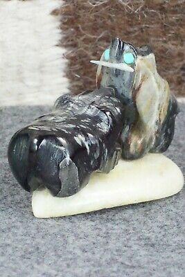 Bear Zuni Fetish Carving - Della Haloo - High Lonesome Trading