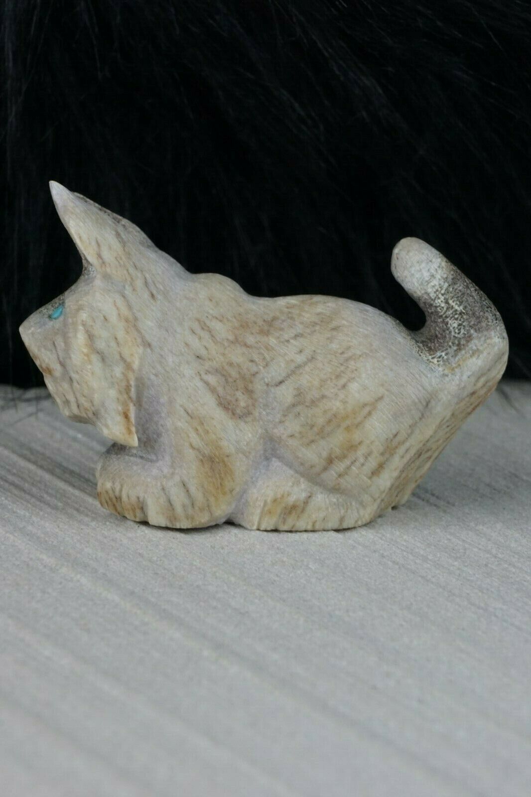Dog - Zuni Fetish - Maxx Laate - Zuni Dog Carving - Native American - High Lonesome Trading
