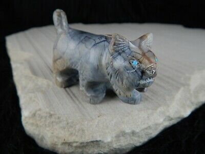 Bobcat Zuni Fetish Carving - Cody Nastacio - High Lonesome Trading