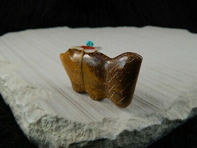 Bear Zuni Fetish Carving - Daphie Quam - High Lonesome Trading