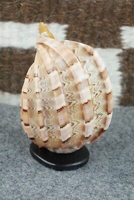 Corn Maiden Zuni Fetish Carving - Jon Quam