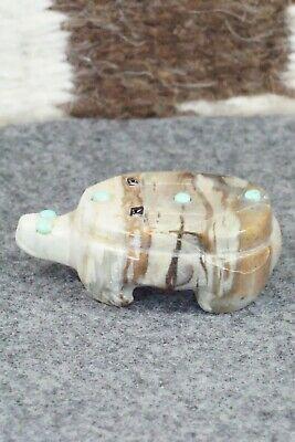 Turtle Zuni Fetish Carving - Taylor Gia - High Lonesome Trading