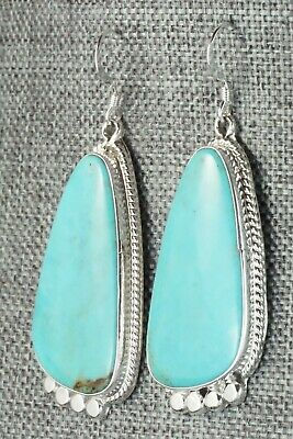 Turquoise & Sterling Silver Earrings - Sharon McCarthy
