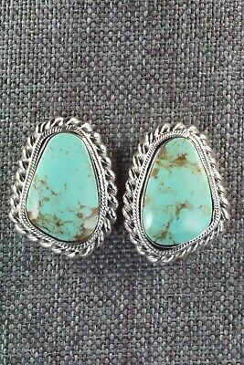 Turquoise and Sterling Silver Earrings - Sharon McCarthy