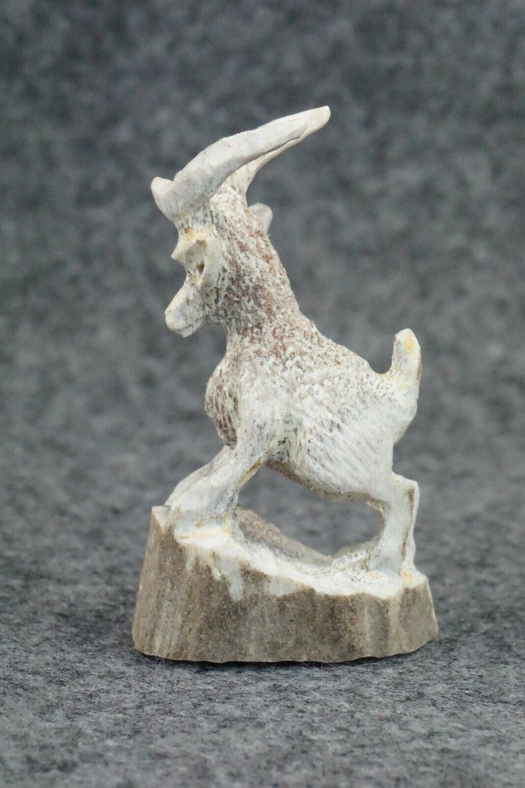 Antelope Zuni Fetish Carving - Lewis Malie Jr.