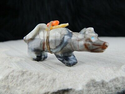 Mountain Lion Zuni Fetish Carving - Kevin Quam - High Lonesome Trading