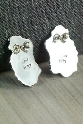 Sterling Silver Earrings - Harry B Yazzie