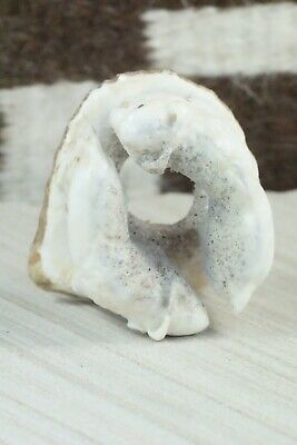 Buffalo Zuni Fetish Carving - Maxx Laate