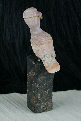 Bird Zuni Fetish Carving- Taylor Gia - High Lonesome Trading
