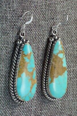 Turquoise and Sterling Silver Earrings - Brandon Belin