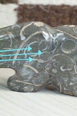 Bear Zuni Fetish Carving - Bernard Laiwakete - High Lonesome Trading