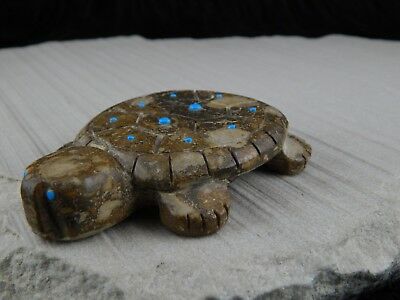 Turtle Zuni Fetish Carving - Reynold Lunasee - High Lonesome Trading