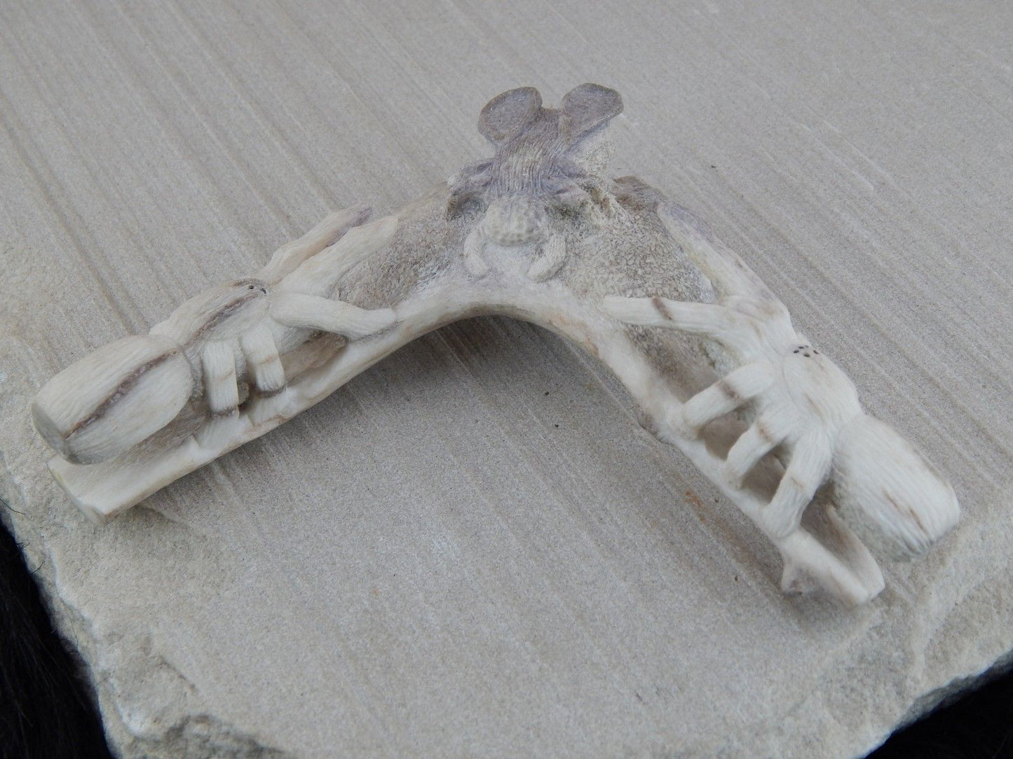 Spider & Bug Zuni Fetish Carving - Glenn Laate - High Lonesome Trading