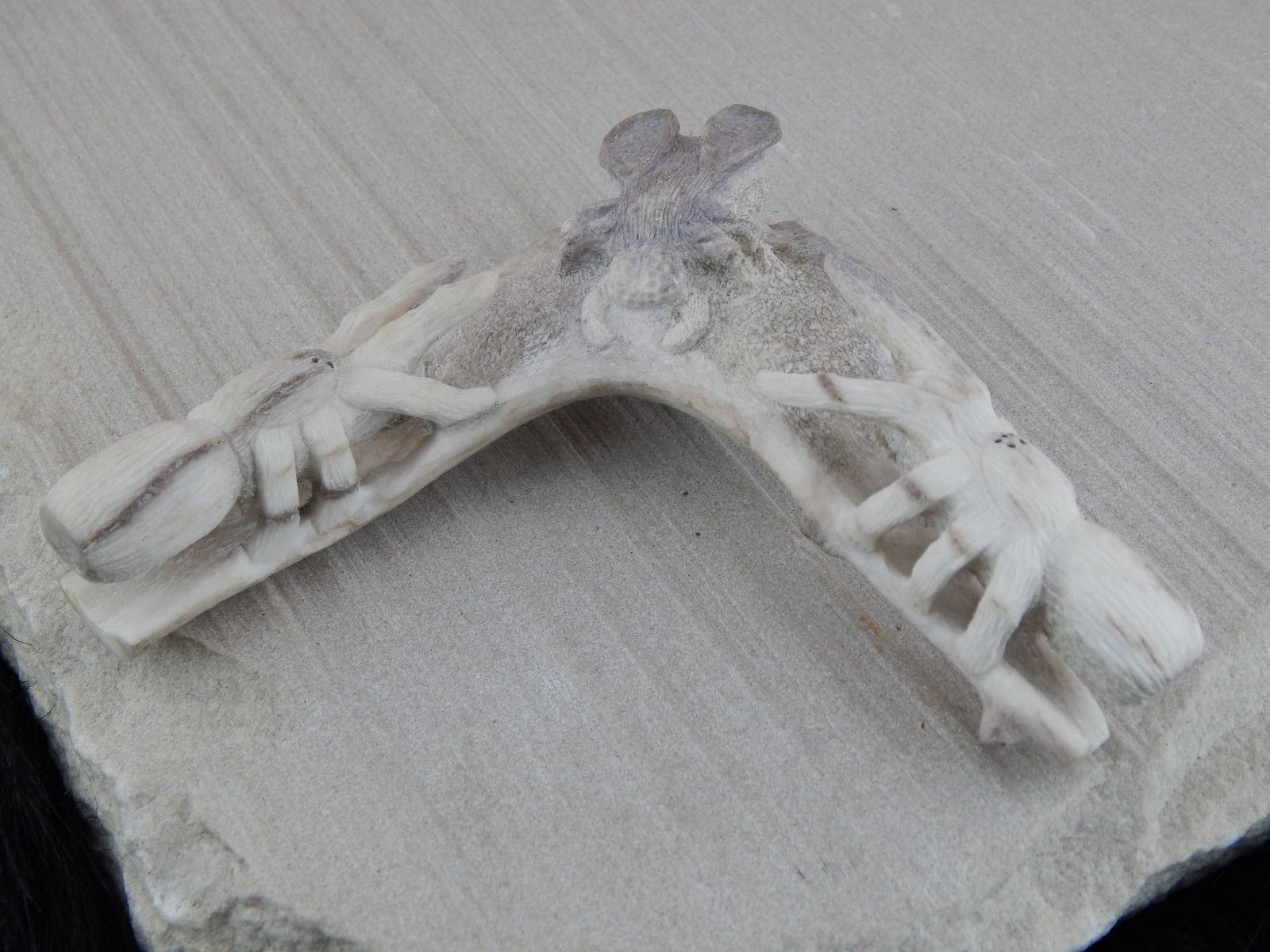 Spider & Bug Zuni Fetish Carving - Glenn Laate - High Lonesome Trading