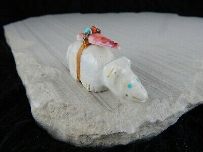 Bear Zuni Fetish Carving - Peter Gasper - High Lonesome Trading