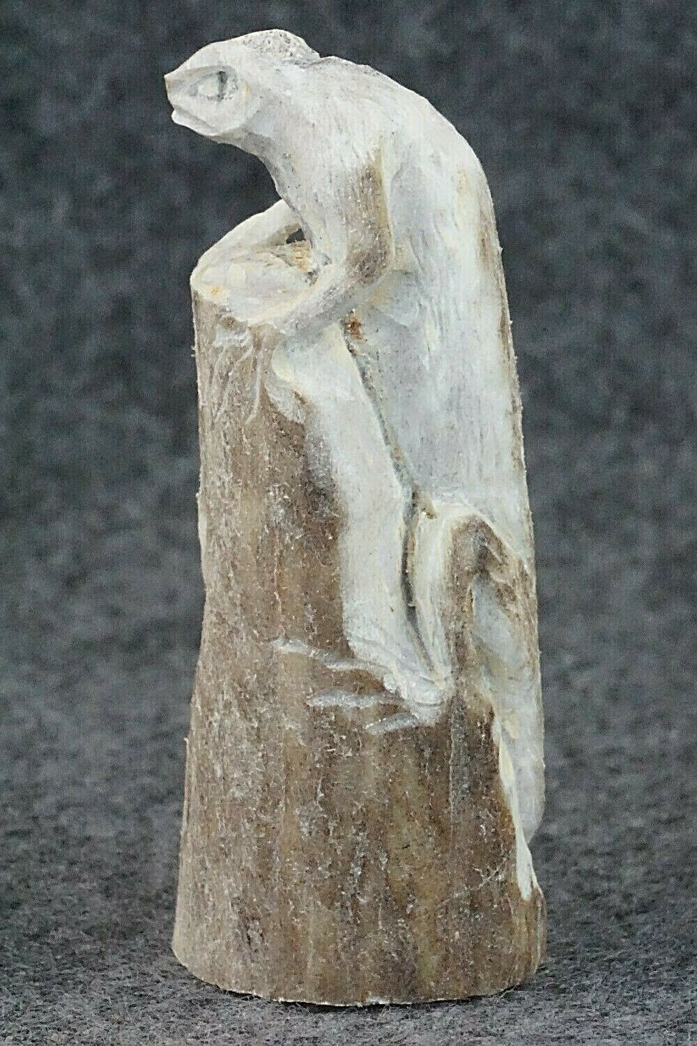 Iguana Zuni Fetish Carving - Lewis Malie Jr.