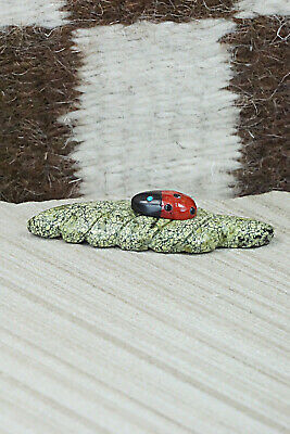 Ladybug Zuni Fetish Carving - Reynold Lunasee